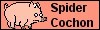 Fanclub de Spider Cochon